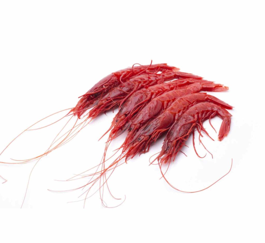 gambero rosso pesce