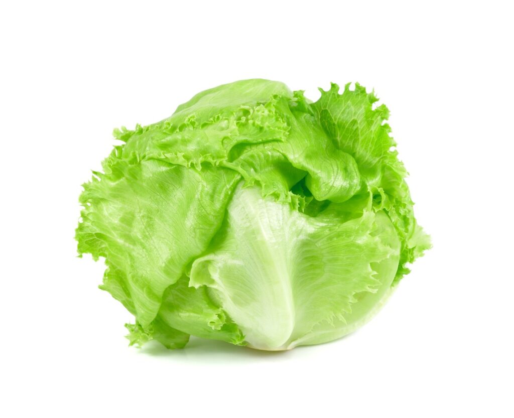 verdura insalata