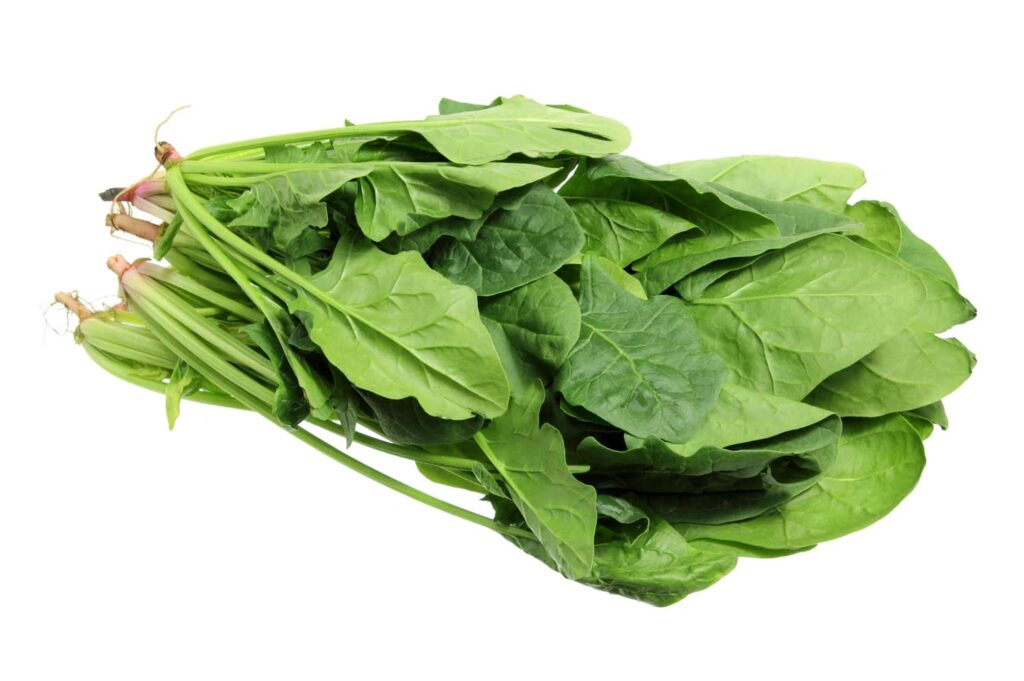 Spinacino insalata verdura 4 gamma